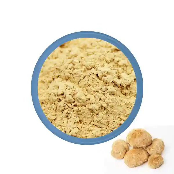 Lion's Mane Powder Bulk